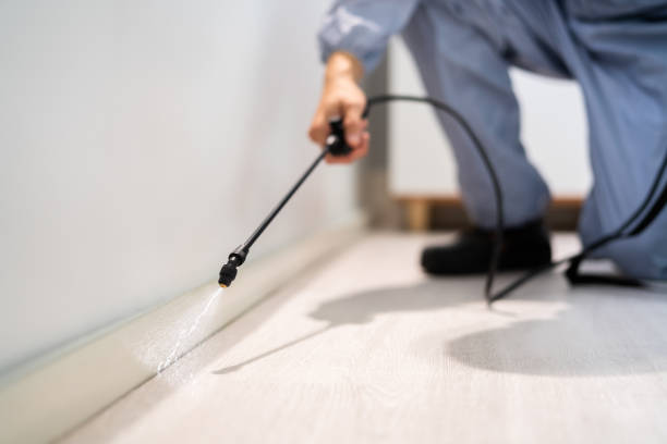 Licensed Termite Control service in Wilton, IA - Nex Pest Control