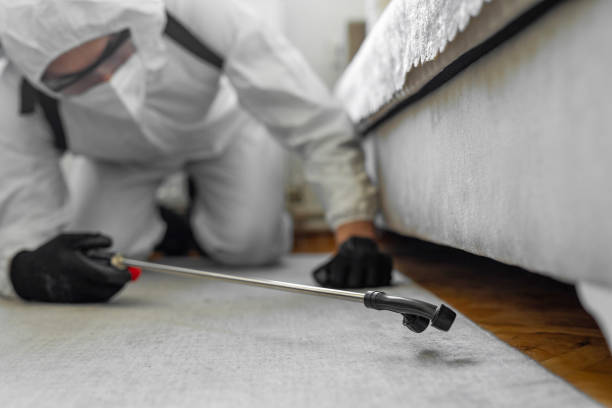 Professional Termite Control technician working in Wilton, IA