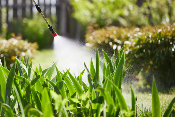 24/7 Emergency Termite Control experts in Wilton, IA